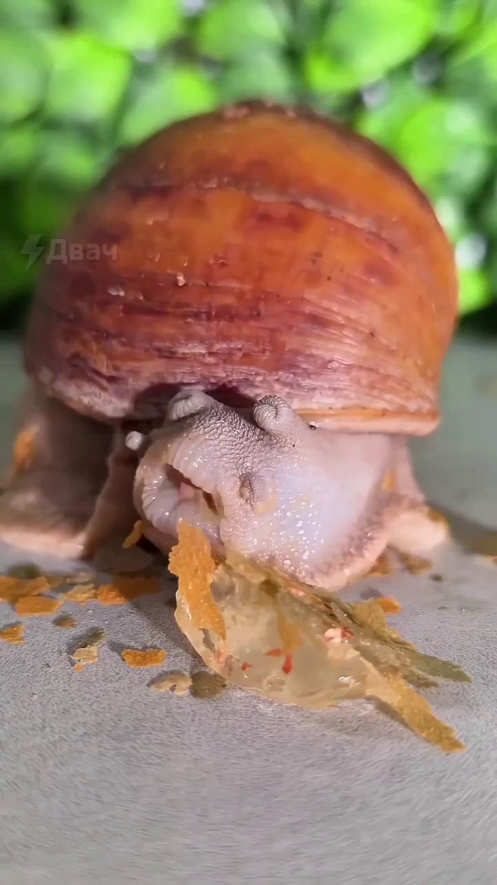 ������