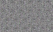   / Solar Opposites - 6 , 5 