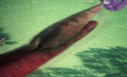 ������������ ������ / Coiling Dragon - 1 �����, 10 �����