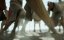   / The Mystery of the Trojan Horse: On the Trail of a Myth - 