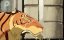  / Wade - 