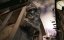 !      -  / Higglety Pigglety Pop! or There Must Be More to Life - 