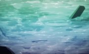 ���������� �������������� ������ / Hua kai zhang mei li - 1 �����, 12 �����