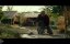   / A Quiet Place -  -