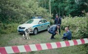 Леший - 1 сезон, 15 серия