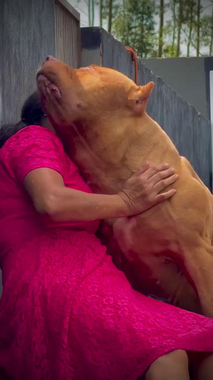 ������