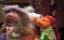 ������-��� / The Muppet Show - 2 �����, 11 �����