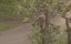     / Ayyappanum Koshiyum - 