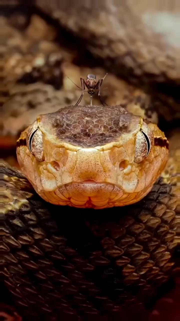 ������