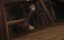    /  :  / Longhushan Zhang tian shi. Qilin / Taoist Master: Kylin / Master Zhang: Qilin - -