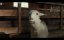 ����  / Sheep - 1 �����, 5 �����