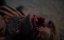    / The Curse of the Clown Motel / Clown Motel - 