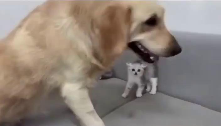 ������