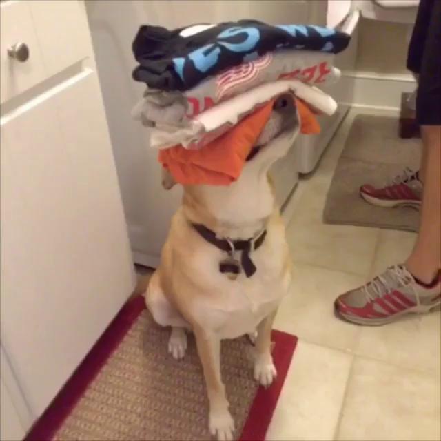 ������