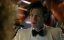   / Doctor Who - 0 ,  