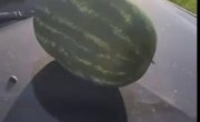     ??    ...