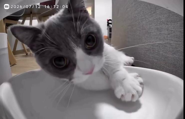 ������