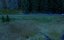 / The Descent - 