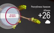������ � ������������ ���� �� 28.05.2026
