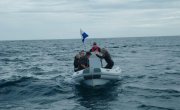 Самая большая акула-мако / World's Biggest Mako - Фильм