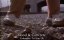    / Blood and Concrete - 