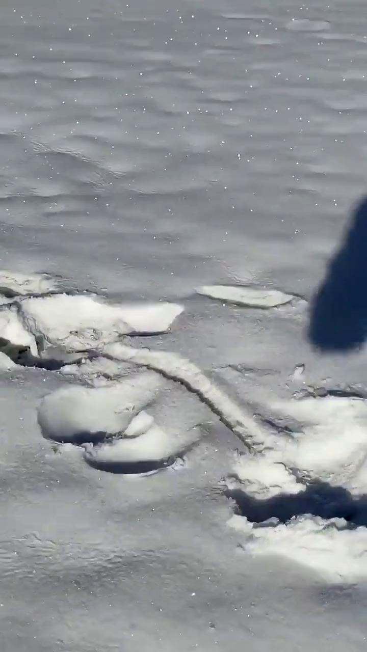 ������