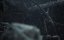   / Abyss Dweller - 1 , 1 