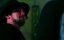  / City of Dead Men - 