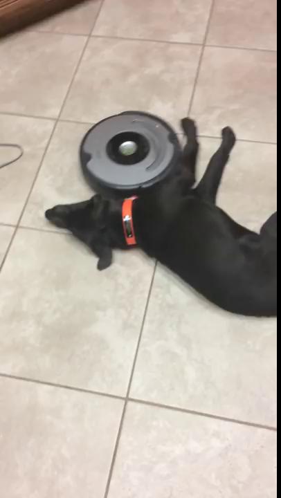 ������