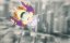 �������� ���������� / Otome Kaijuu Carameliser - 1 �����, 2 �����