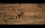   / Moonrise - 
