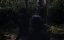    / Le lac des morts vivants / Zombie Lake - 