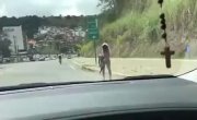 .    .........