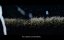 Ҹ  / Dark Harvest -   