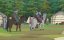 ���� ������� / Tenmaku no Jaadugar - 1 �����, 6 �����