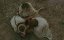    / Joseph of Nazareth - 