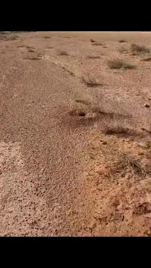 ������