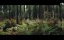   / Le règne animal / The Animal Kingdom - -
