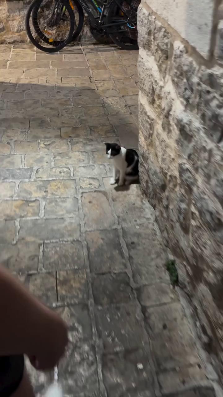������