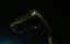 �� ������ / Eagle Eye - �������