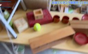    ,      / My Town of Hot Baths Hidden Treasures and Delicious Ramen - 