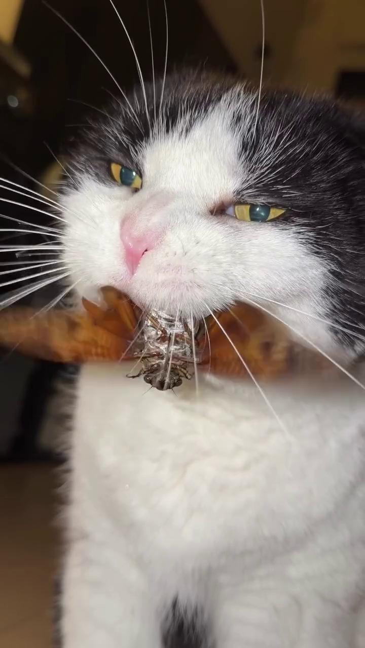 ������