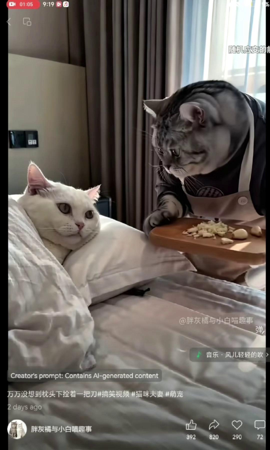 ������