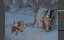    / Pluto's Christmas Tree - 