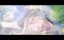 ���������� ������� ����������� �������: ������ / Xin yi chang sheng wu jian wen lu: Xu - 1 �����, 5 �����