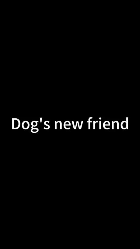 ������