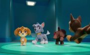 Щенячий патруль / PAW Patrol - 13 сезон, 6 серия