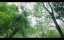 ��� ��� ������� ����� / Xiao Fang Chu Jia / Xiao Fang Gets Married / 小芳出嫁 - 1 �����, 1 �����