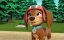 ������� ������� / PAW Patrol - 9 �����, 1 �����