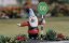    4:   / Wallace and Gromit in A Close Shave - 
